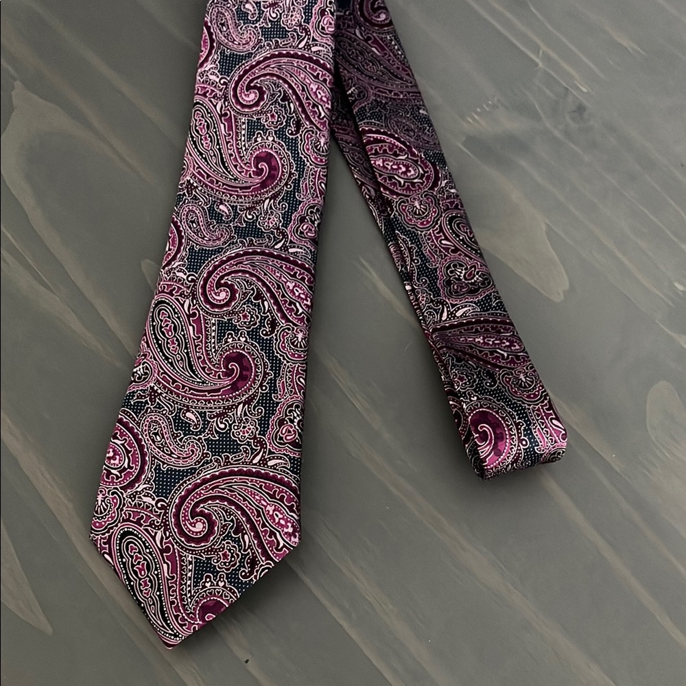 Tasso Elba 100% silk Paisley Silk Tie
